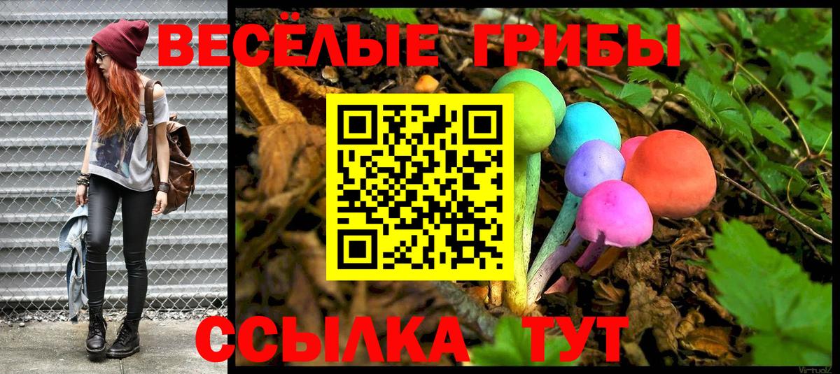 Галлюциногенные грибы Psilocybine cubensis  Вход с VPN  как найти закладки  Псилоцибиновые грибы мухоморы  Кыштым 